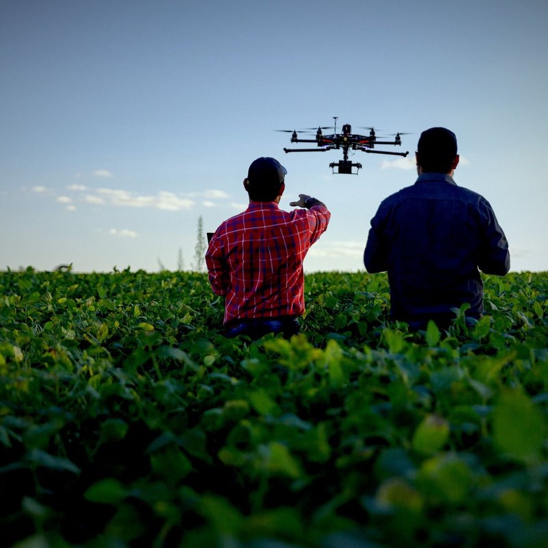 Dronen in der Landwirtschaft