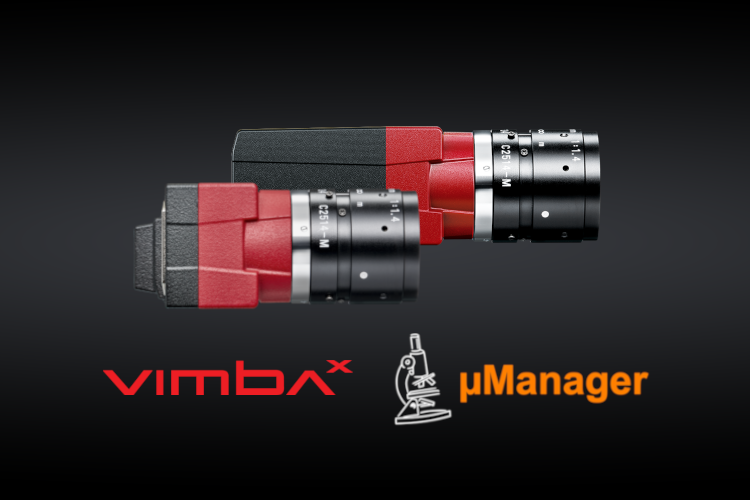 Strong team for microscopy imaging: µManager Adapter for Allied Vision cameras