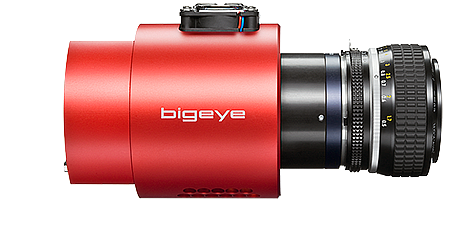 Bigeye P P-629